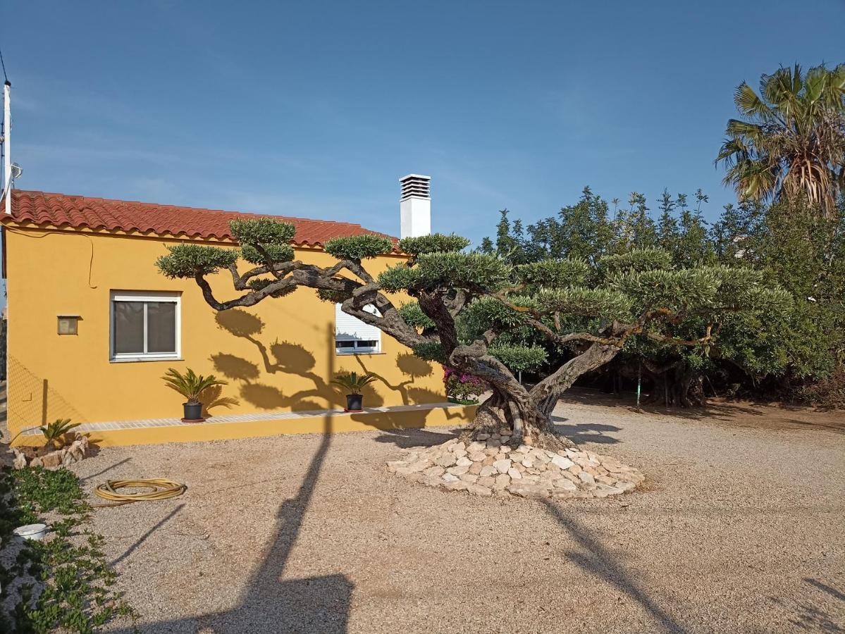Ferienhaus Casa Eli L'Ampolla